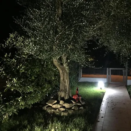 Bed & Breakfast La Selva *
